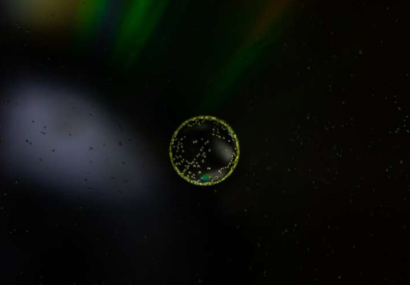 پتانسیل بازسازی قوی سلول‌های بنیادی مشتق شده از ادرار انسان